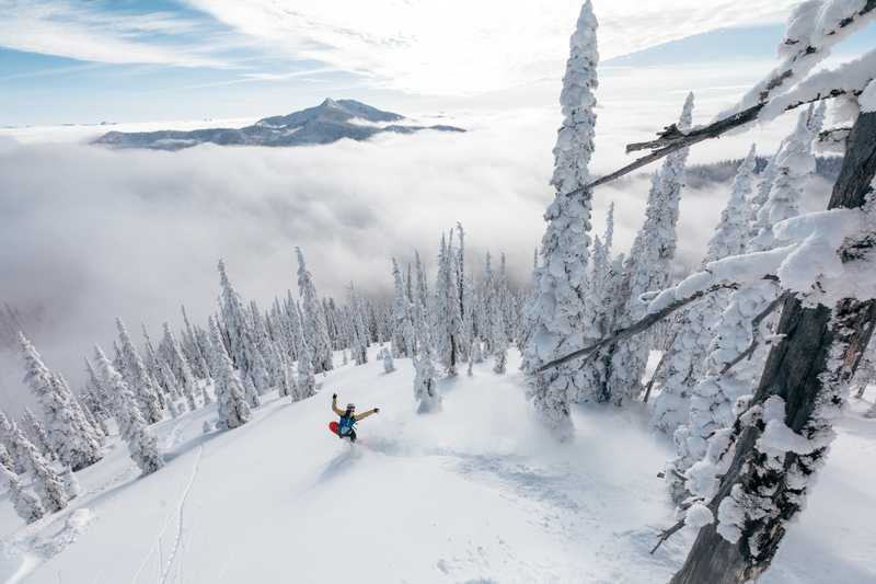 Snowboarder descending through a myriad of trees capped with snow
